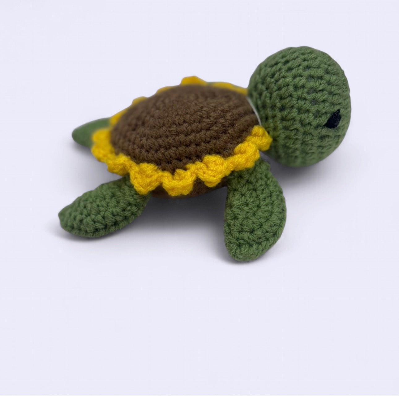 Sunflower Turtle